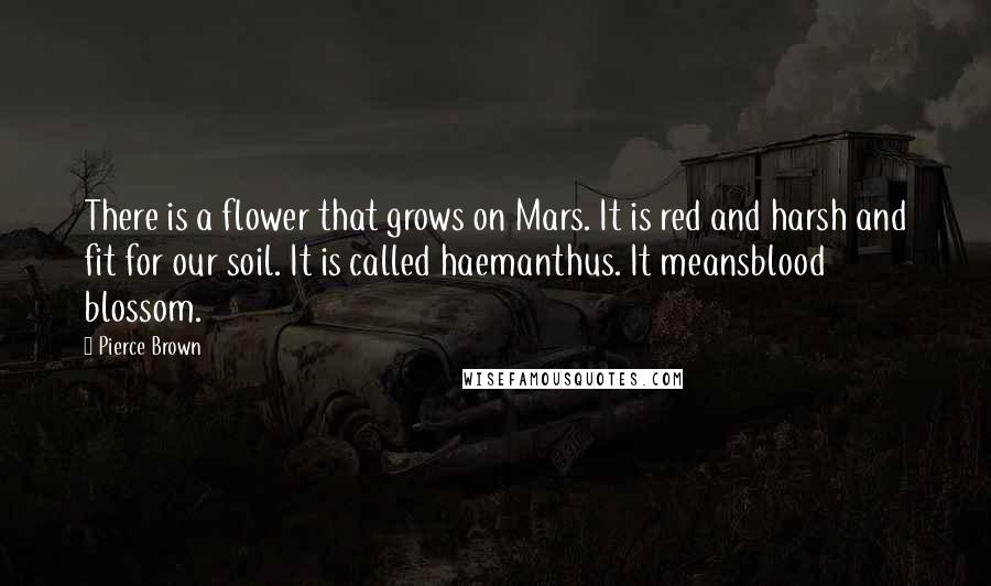 Pierce Brown Quotes: There is a flower that grows on Mars. It is red and harsh and fit for our soil. It is called haemanthus. It meansblood blossom.