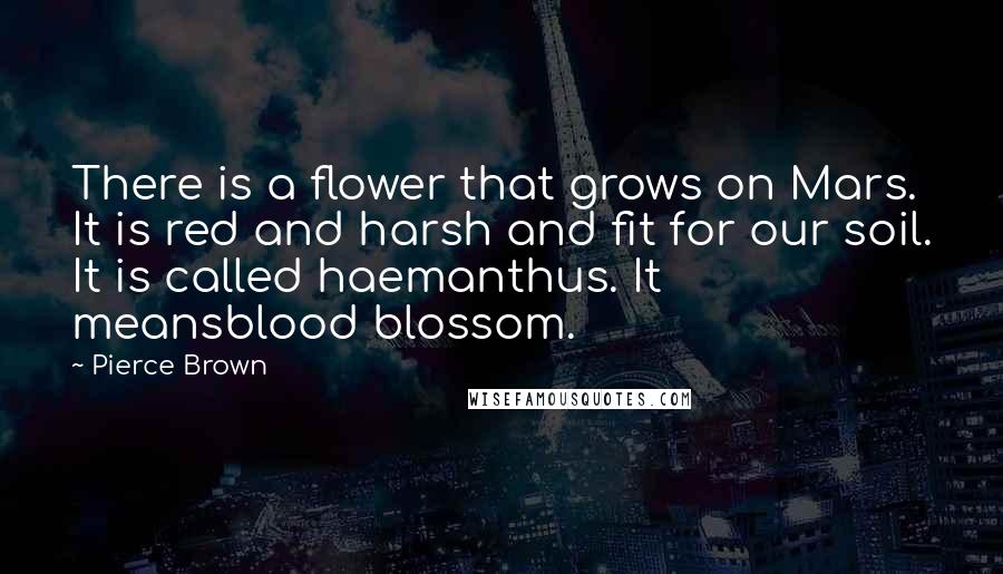 Pierce Brown Quotes: There is a flower that grows on Mars. It is red and harsh and fit for our soil. It is called haemanthus. It meansblood blossom.