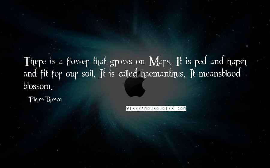 Pierce Brown Quotes: There is a flower that grows on Mars. It is red and harsh and fit for our soil. It is called haemanthus. It meansblood blossom.