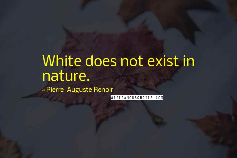Pierre-Auguste Renoir Quotes: White does not exist in nature.