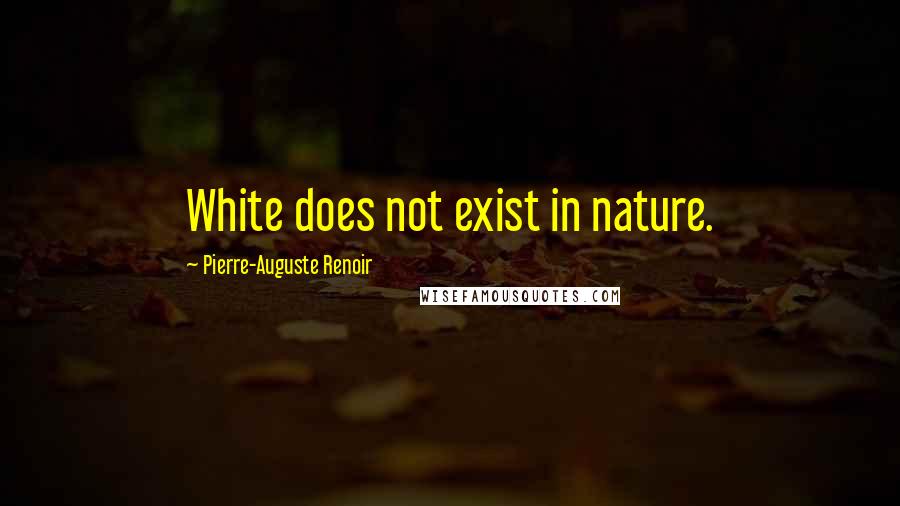 Pierre-Auguste Renoir Quotes: White does not exist in nature.