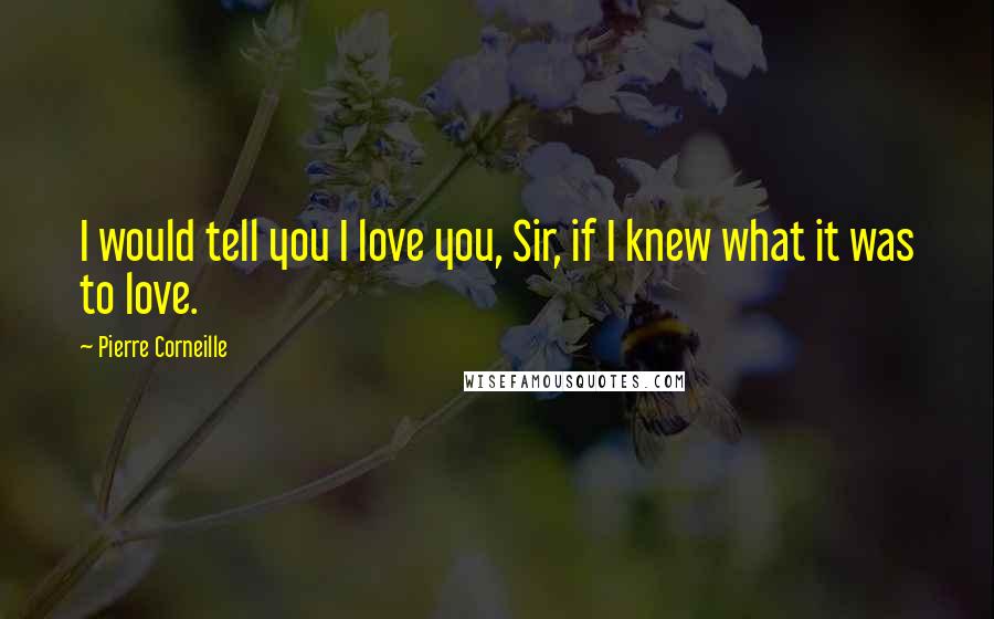 Pierre Corneille Quotes: I would tell you I love you, Sir, if I knew what it was to love.