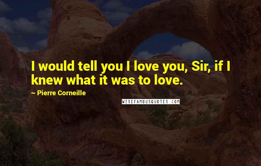 Pierre Corneille Quotes: I would tell you I love you, Sir, if I knew what it was to love.