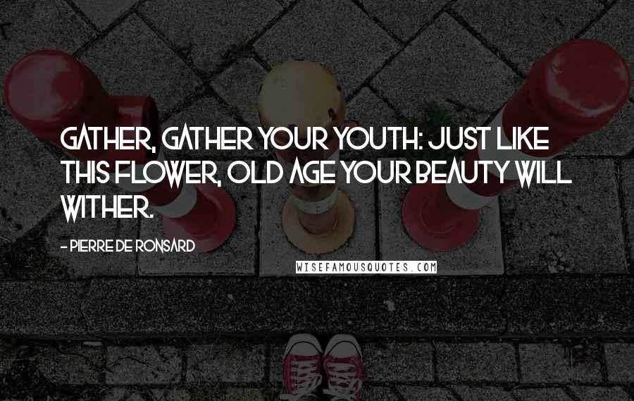 Pierre De Ronsard Quotes: Gather, gather your youth: Just like this flower, old age Your beauty will wither.