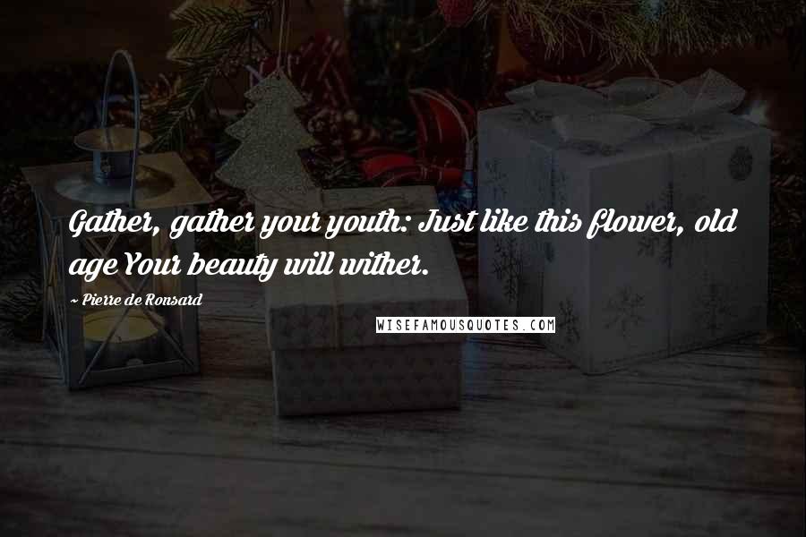 Pierre De Ronsard Quotes: Gather, gather your youth: Just like this flower, old age Your beauty will wither.