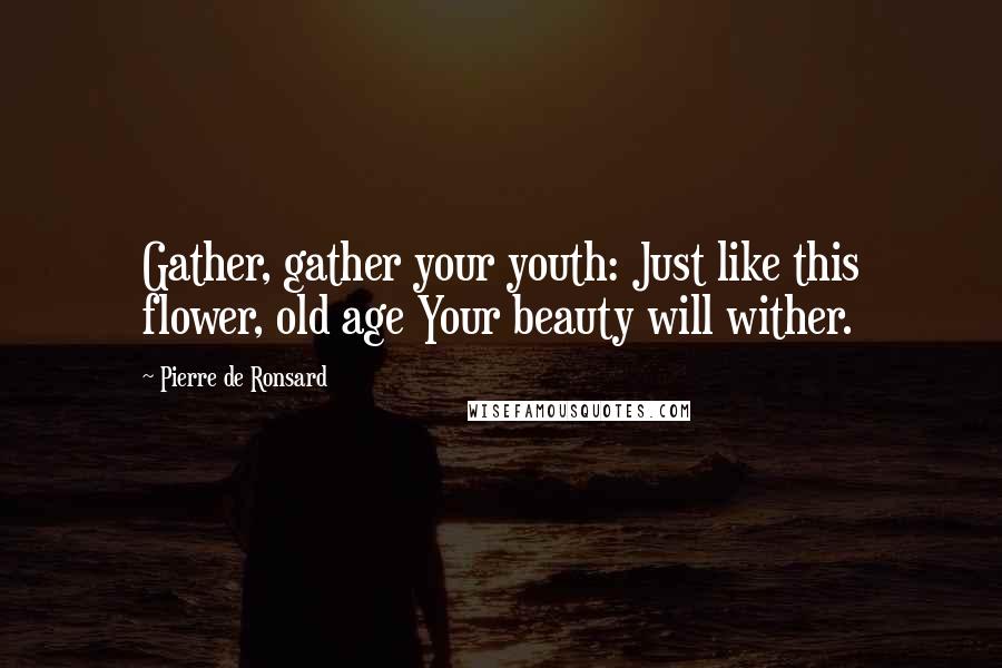 Pierre De Ronsard Quotes: Gather, gather your youth: Just like this flower, old age Your beauty will wither.