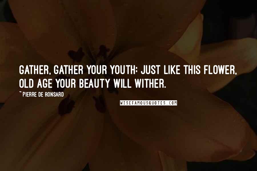 Pierre De Ronsard Quotes: Gather, gather your youth: Just like this flower, old age Your beauty will wither.