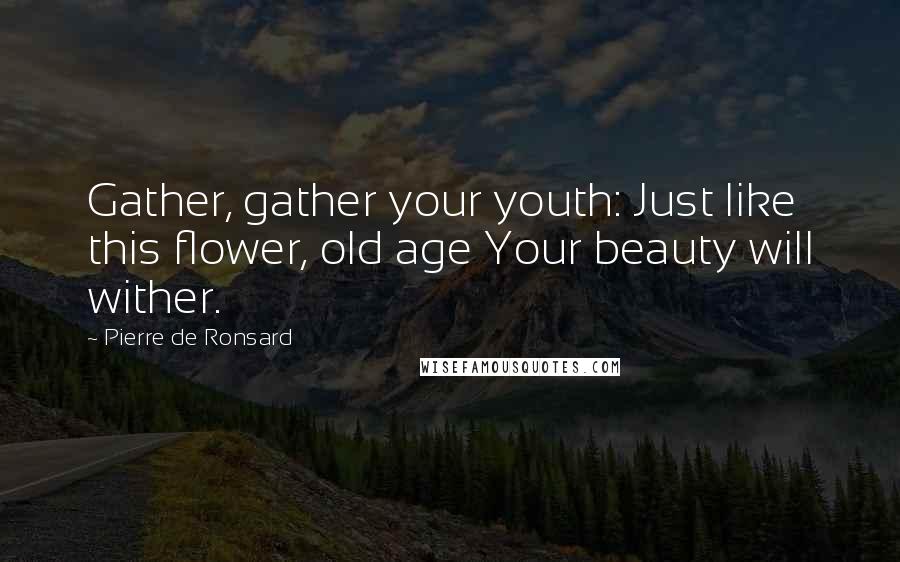 Pierre De Ronsard Quotes: Gather, gather your youth: Just like this flower, old age Your beauty will wither.