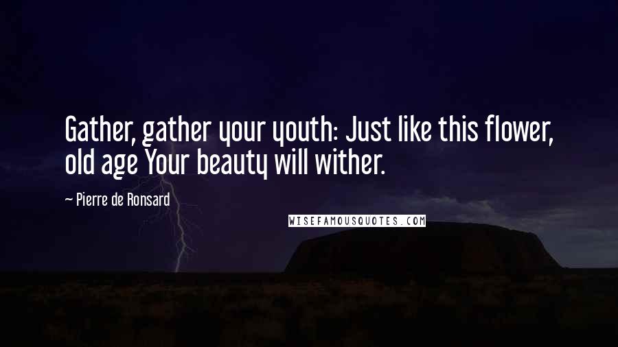 Pierre De Ronsard Quotes: Gather, gather your youth: Just like this flower, old age Your beauty will wither.