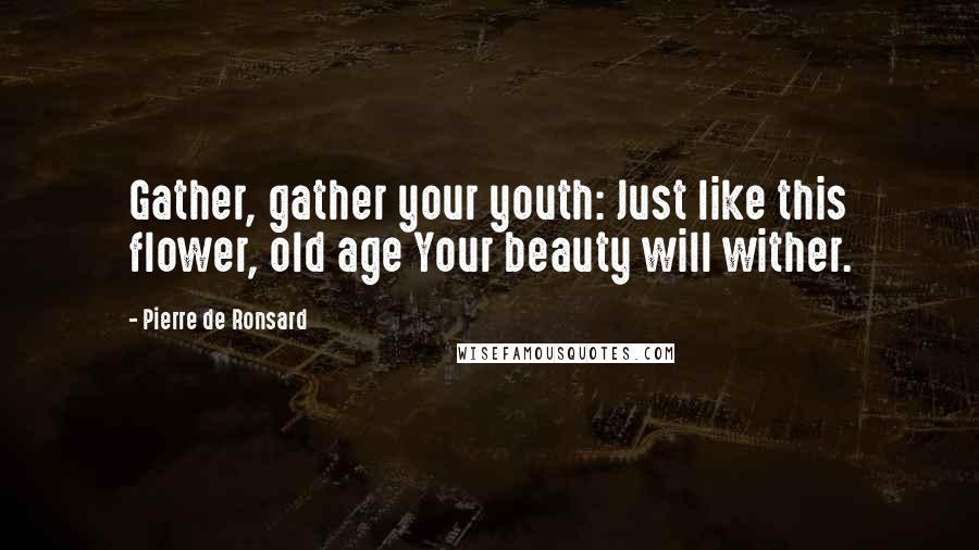 Pierre De Ronsard Quotes: Gather, gather your youth: Just like this flower, old age Your beauty will wither.