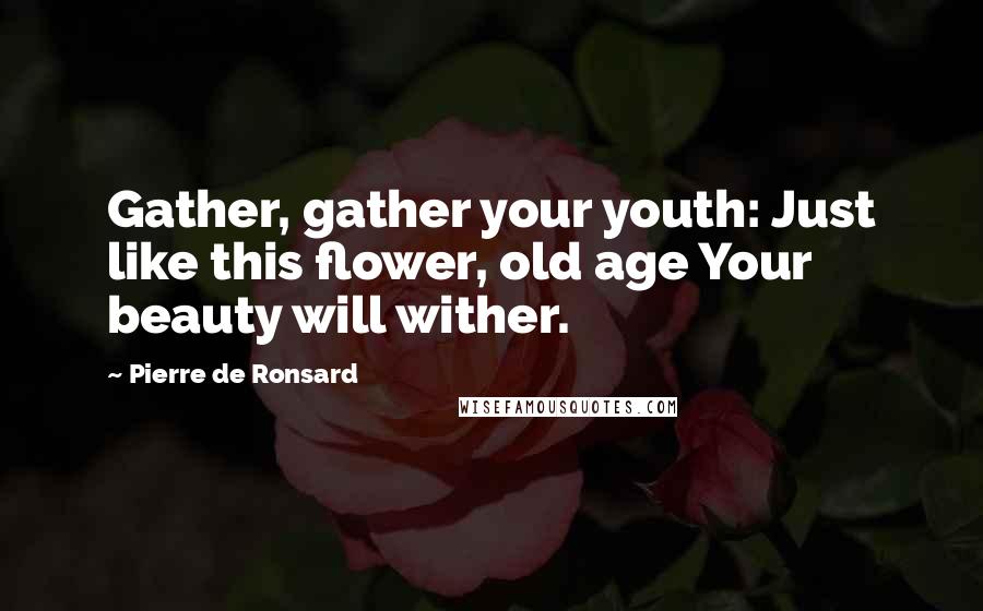 Pierre De Ronsard Quotes: Gather, gather your youth: Just like this flower, old age Your beauty will wither.