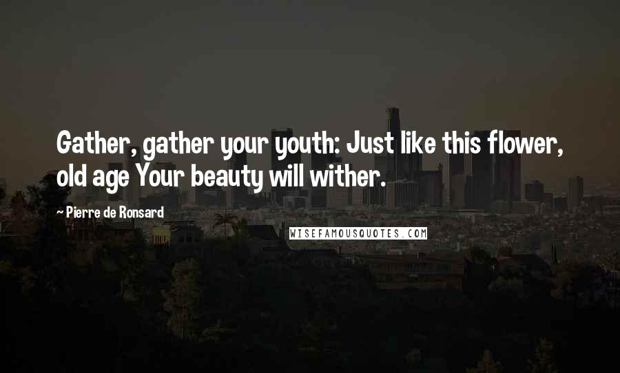 Pierre De Ronsard Quotes: Gather, gather your youth: Just like this flower, old age Your beauty will wither.