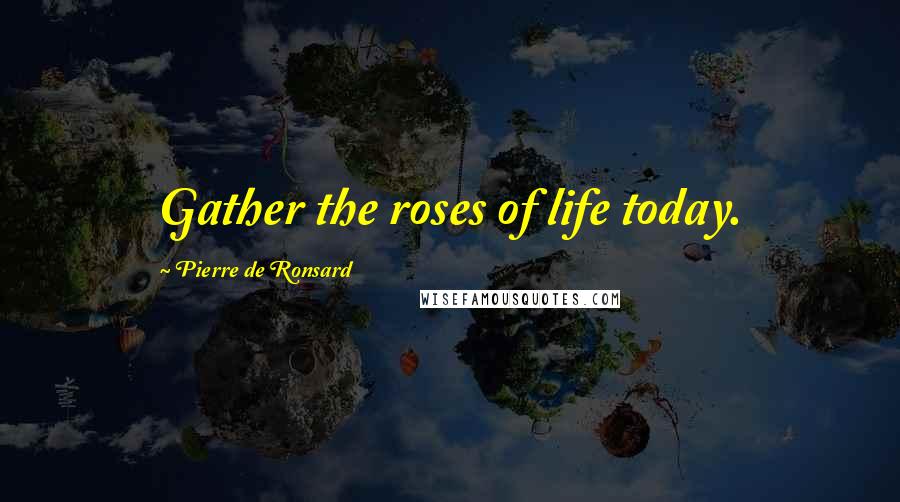 Pierre De Ronsard Quotes: Gather the roses of life today.