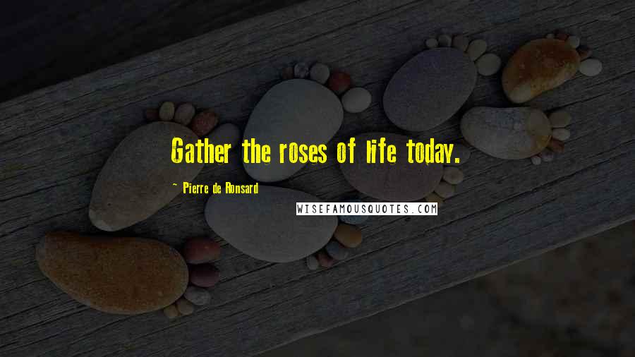 Pierre De Ronsard Quotes: Gather the roses of life today.