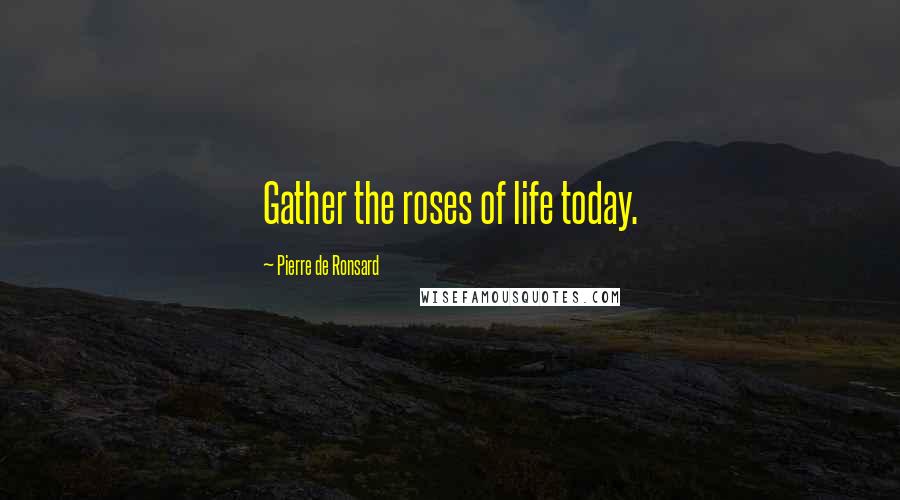 Pierre De Ronsard Quotes: Gather the roses of life today.