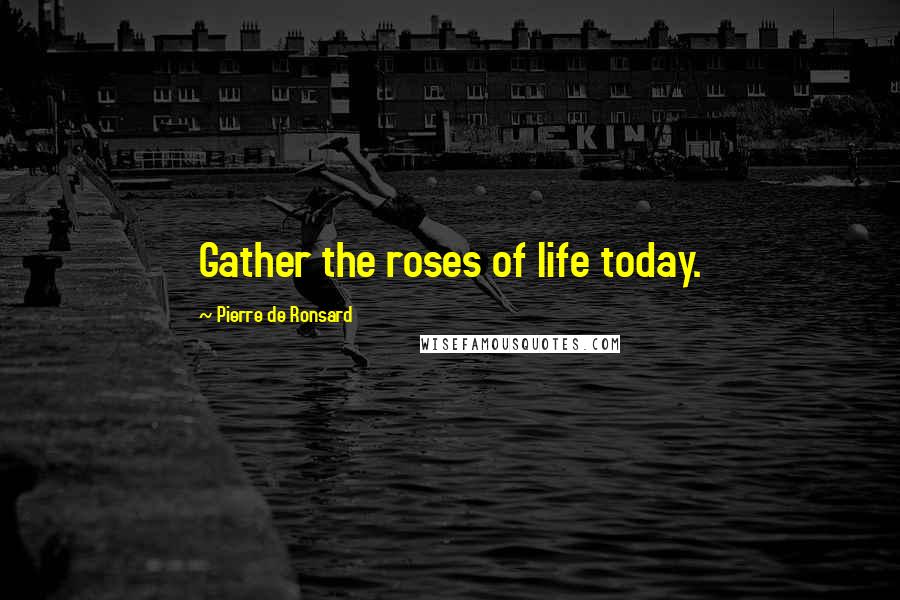 Pierre De Ronsard Quotes: Gather the roses of life today.