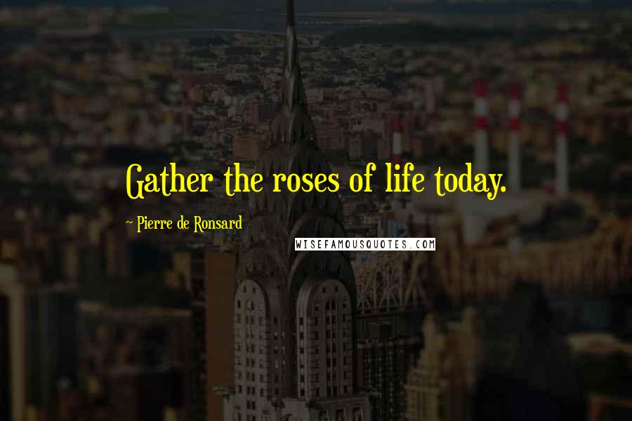 Pierre De Ronsard Quotes: Gather the roses of life today.