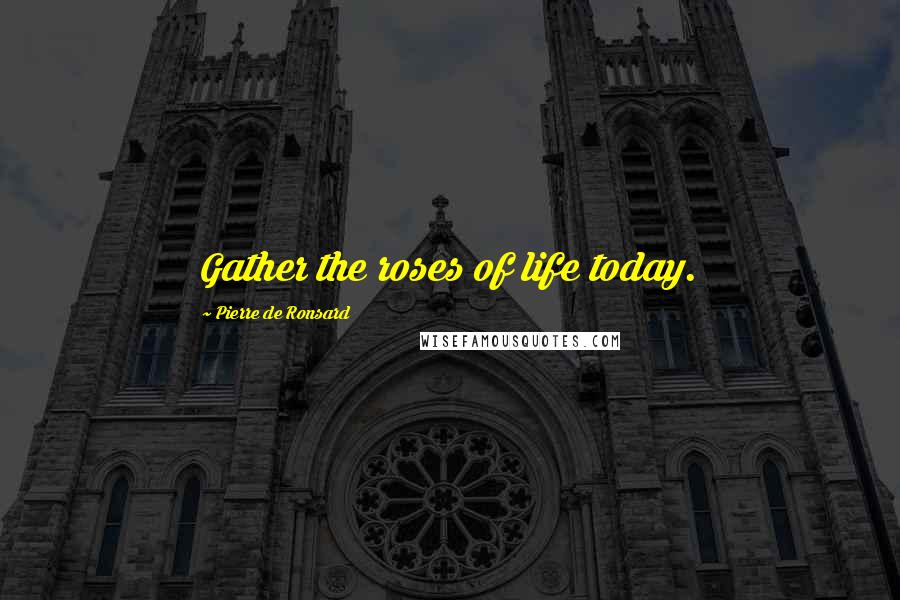 Pierre De Ronsard Quotes: Gather the roses of life today.