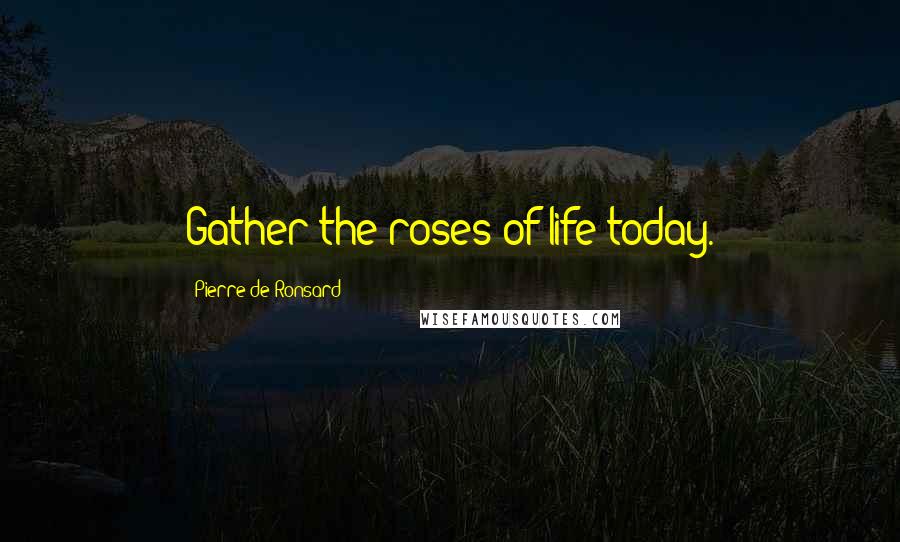 Pierre De Ronsard Quotes: Gather the roses of life today.