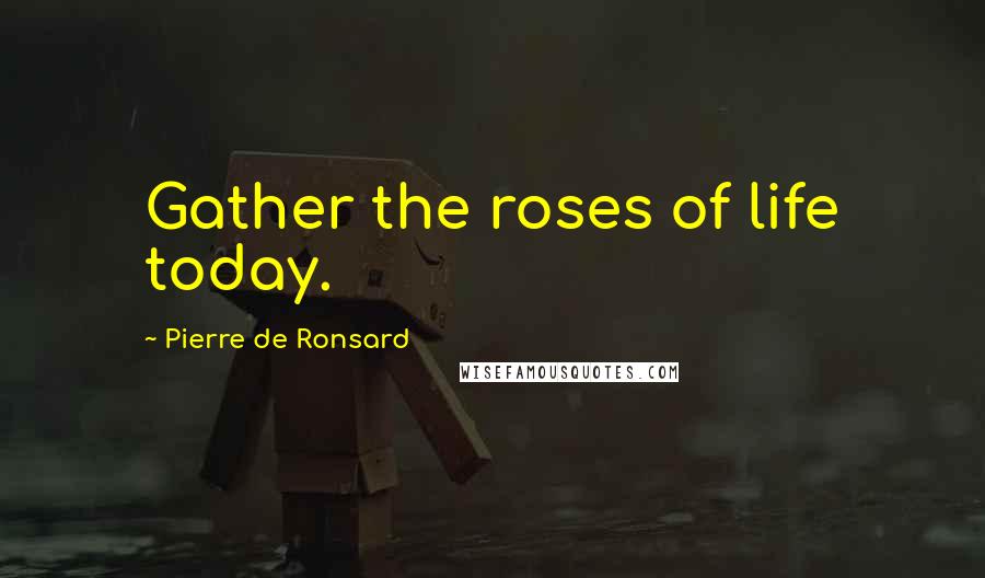 Pierre De Ronsard Quotes: Gather the roses of life today.