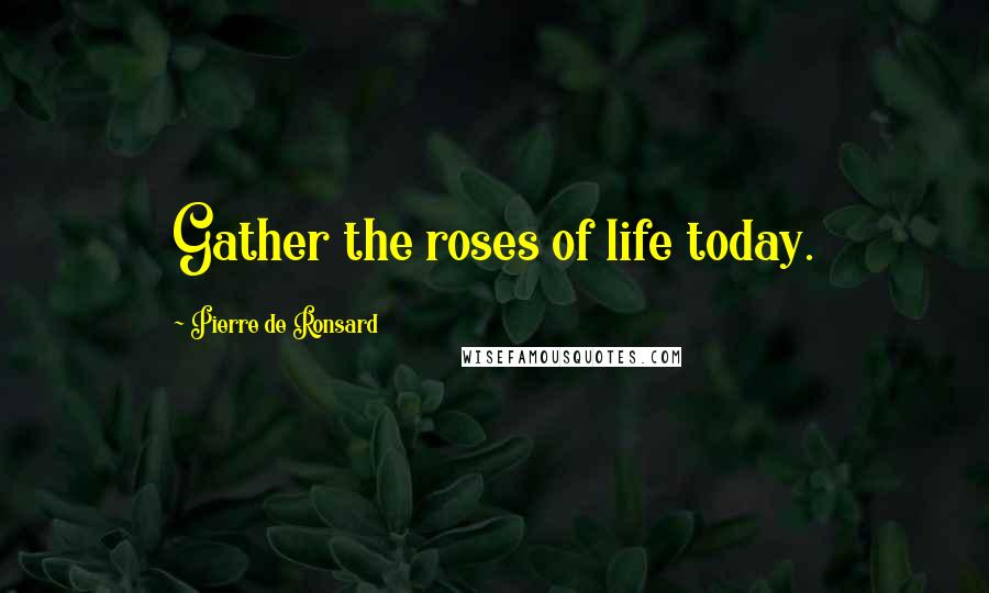 Pierre De Ronsard Quotes: Gather the roses of life today.