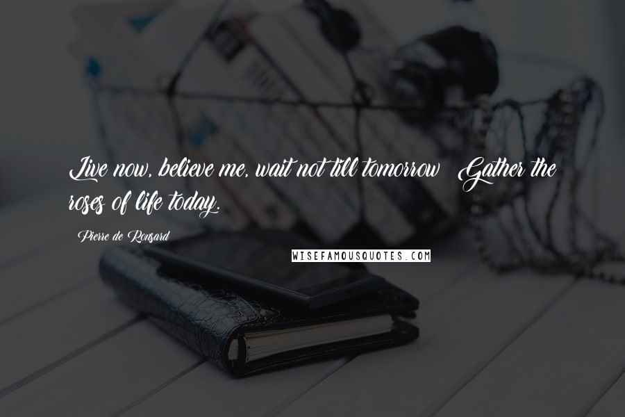 Pierre De Ronsard Quotes: Live now, believe me, wait not till tomorrow; Gather the roses of life today.