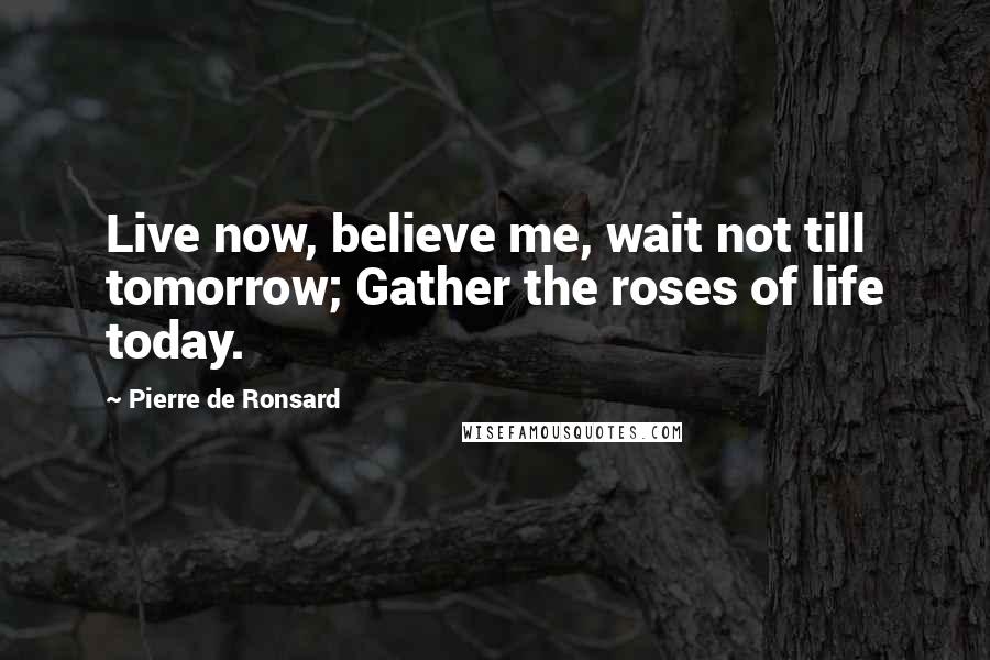 Pierre De Ronsard Quotes: Live now, believe me, wait not till tomorrow; Gather the roses of life today.