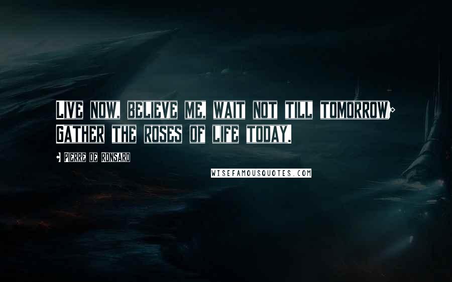 Pierre De Ronsard Quotes: Live now, believe me, wait not till tomorrow; Gather the roses of life today.