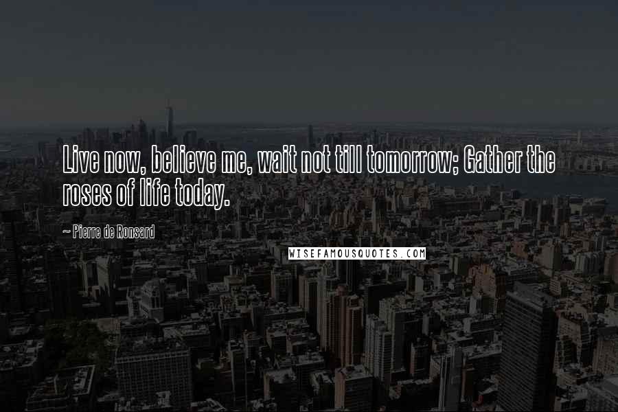 Pierre De Ronsard Quotes: Live now, believe me, wait not till tomorrow; Gather the roses of life today.