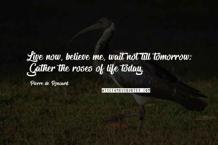 Pierre De Ronsard Quotes: Live now, believe me, wait not till tomorrow; Gather the roses of life today.