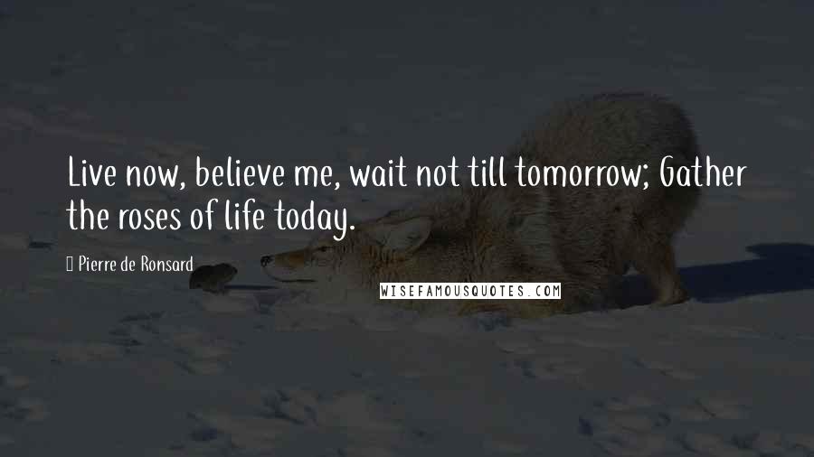 Pierre De Ronsard Quotes: Live now, believe me, wait not till tomorrow; Gather the roses of life today.