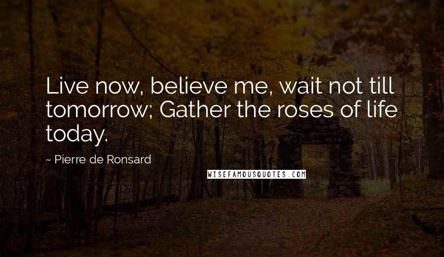 Pierre De Ronsard Quotes: Live now, believe me, wait not till tomorrow; Gather the roses of life today.