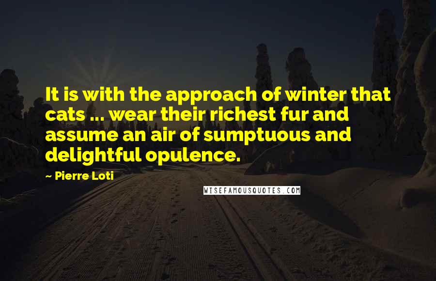 Pierre Loti Quotes: It is with the approach of winter that cats ... wear their richest fur and assume an air of sumptuous and delightful opulence.