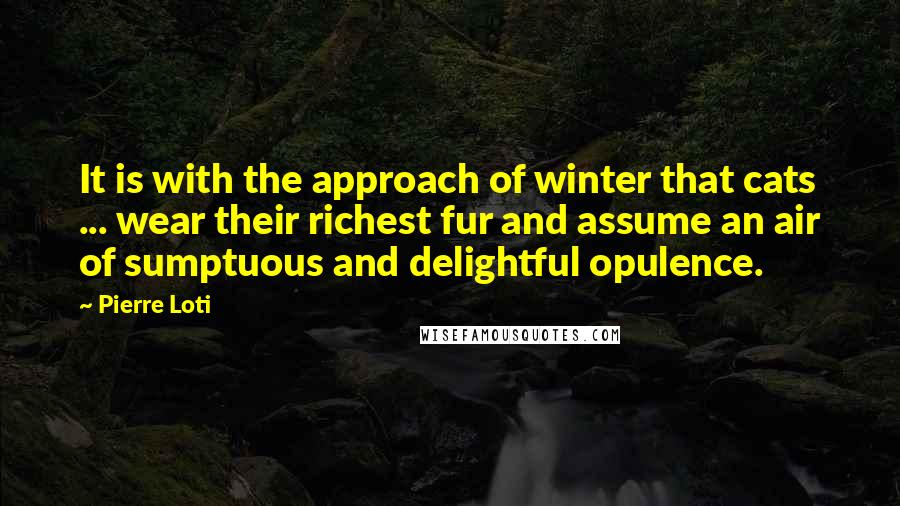 Pierre Loti Quotes: It is with the approach of winter that cats ... wear their richest fur and assume an air of sumptuous and delightful opulence.