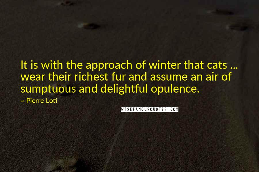 Pierre Loti Quotes: It is with the approach of winter that cats ... wear their richest fur and assume an air of sumptuous and delightful opulence.