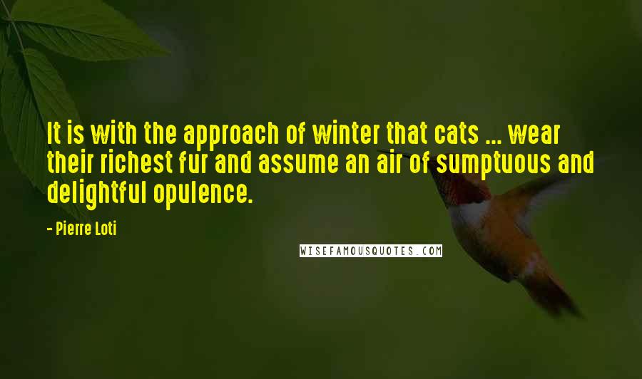 Pierre Loti Quotes: It is with the approach of winter that cats ... wear their richest fur and assume an air of sumptuous and delightful opulence.
