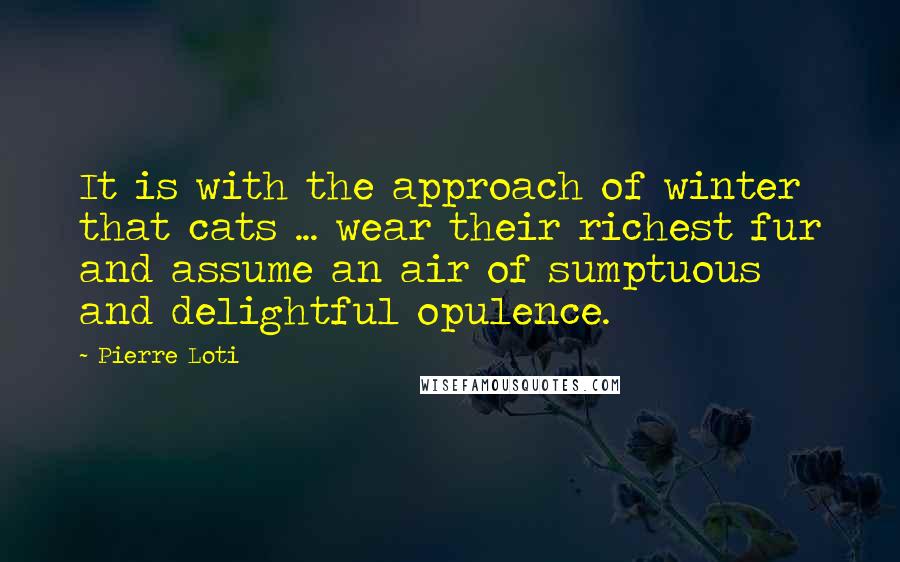 Pierre Loti Quotes: It is with the approach of winter that cats ... wear their richest fur and assume an air of sumptuous and delightful opulence.