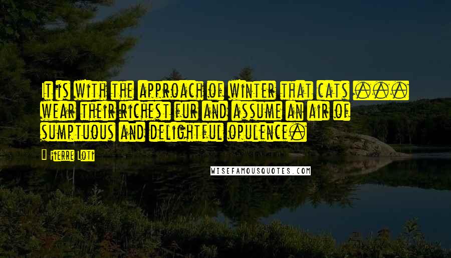 Pierre Loti Quotes: It is with the approach of winter that cats ... wear their richest fur and assume an air of sumptuous and delightful opulence.