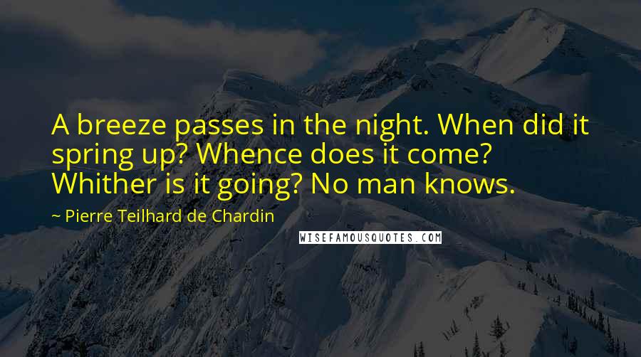 Pierre Teilhard De Chardin Quotes: A breeze passes in the night. When did it spring up? Whence does it come? Whither is it going? No man knows.