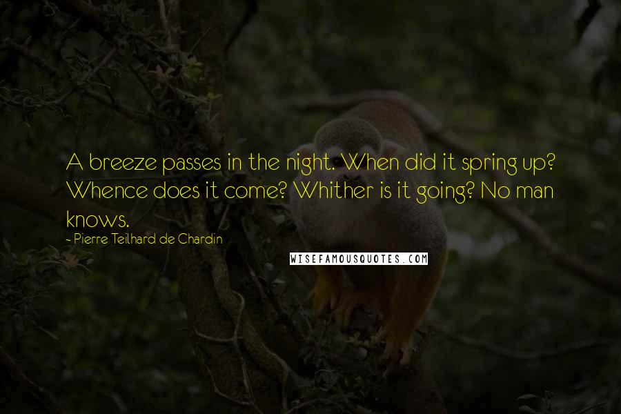 Pierre Teilhard De Chardin Quotes: A breeze passes in the night. When did it spring up? Whence does it come? Whither is it going? No man knows.