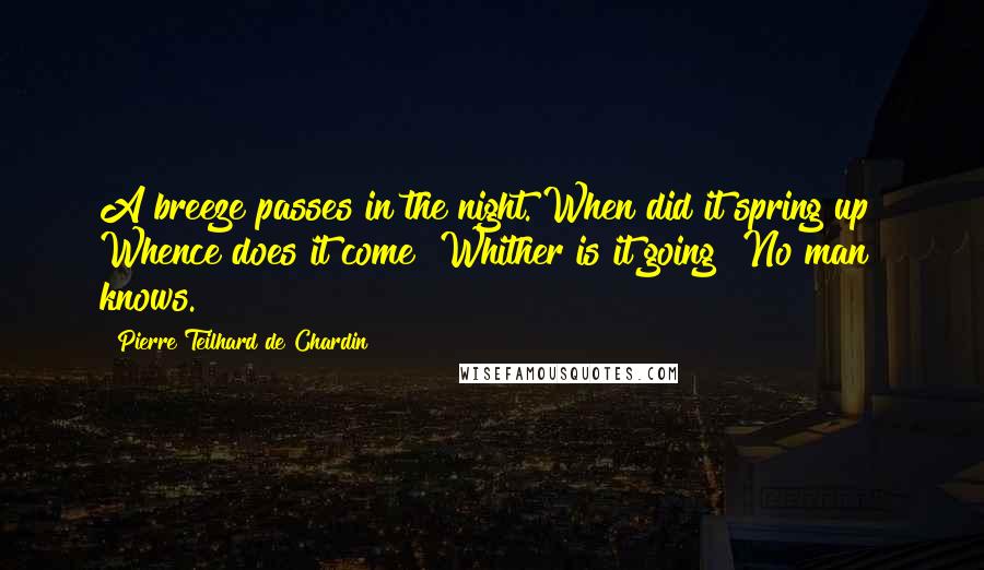 Pierre Teilhard De Chardin Quotes: A breeze passes in the night. When did it spring up? Whence does it come? Whither is it going? No man knows.