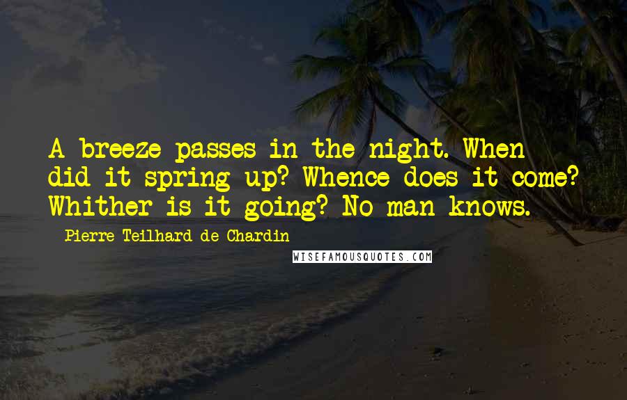 Pierre Teilhard De Chardin Quotes: A breeze passes in the night. When did it spring up? Whence does it come? Whither is it going? No man knows.