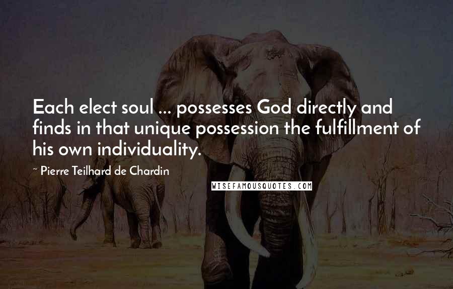 Pierre Teilhard De Chardin Quotes: Each elect soul ... possesses God directly and finds in that unique possession the fulfillment of his own individuality.