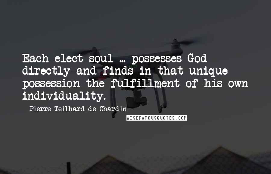 Pierre Teilhard De Chardin Quotes: Each elect soul ... possesses God directly and finds in that unique possession the fulfillment of his own individuality.