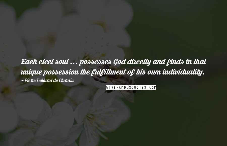 Pierre Teilhard De Chardin Quotes: Each elect soul ... possesses God directly and finds in that unique possession the fulfillment of his own individuality.