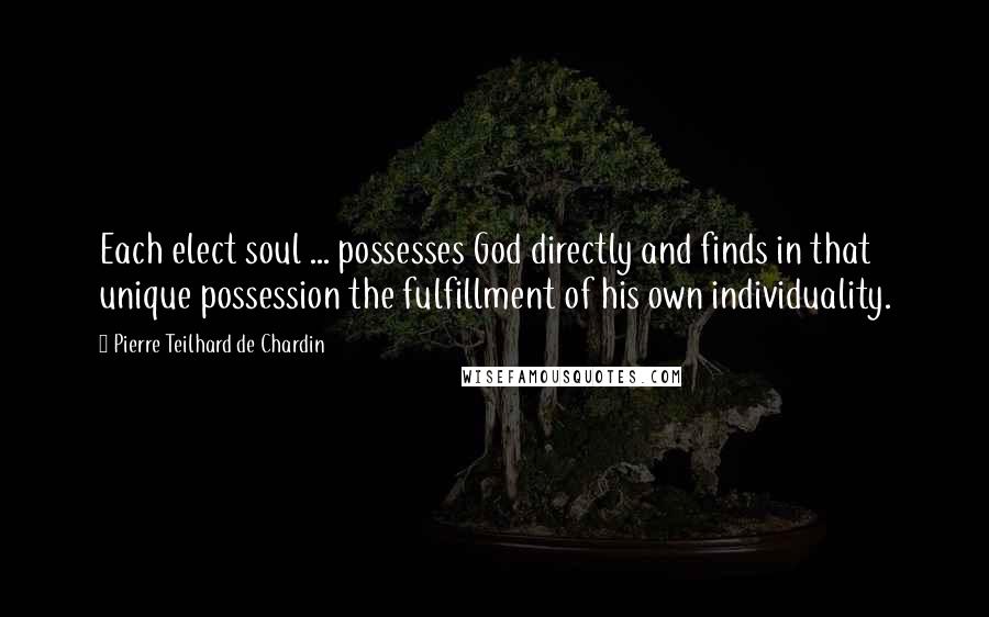 Pierre Teilhard De Chardin Quotes: Each elect soul ... possesses God directly and finds in that unique possession the fulfillment of his own individuality.