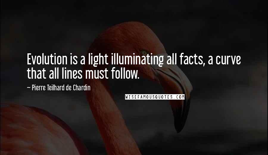 Pierre Teilhard De Chardin Quotes: Evolution is a light illuminating all facts, a curve that all lines must follow.