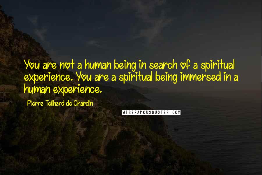Pierre Teilhard De Chardin Quotes: You are not a human being in search of a spiritual experience. You are a spiritual being immersed in a human experience.