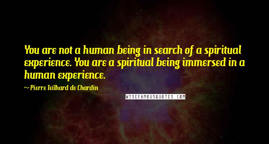 Pierre Teilhard De Chardin Quotes: You are not a human being in search of a spiritual experience. You are a spiritual being immersed in a human experience.