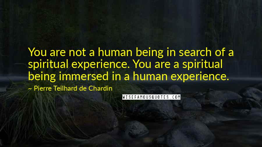 Pierre Teilhard De Chardin Quotes: You are not a human being in search of a spiritual experience. You are a spiritual being immersed in a human experience.